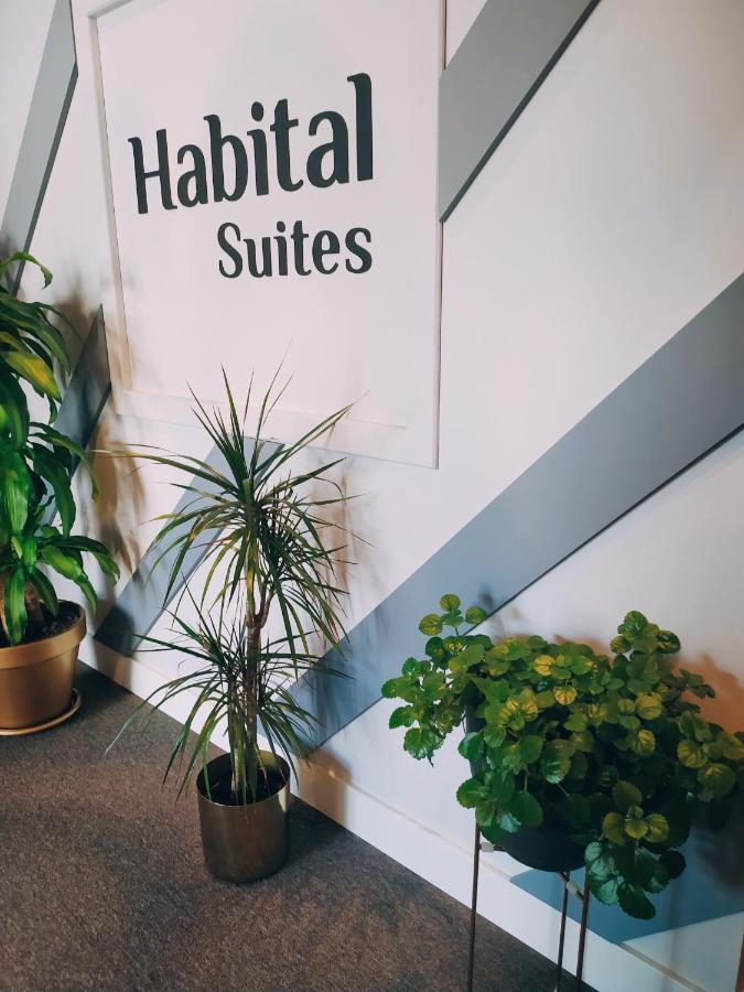 ז'אקה Habital Suites מראה חיצוני תמונה